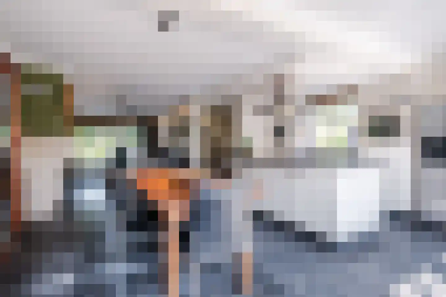 Weegbree 38 Geldrop thumbnail 10