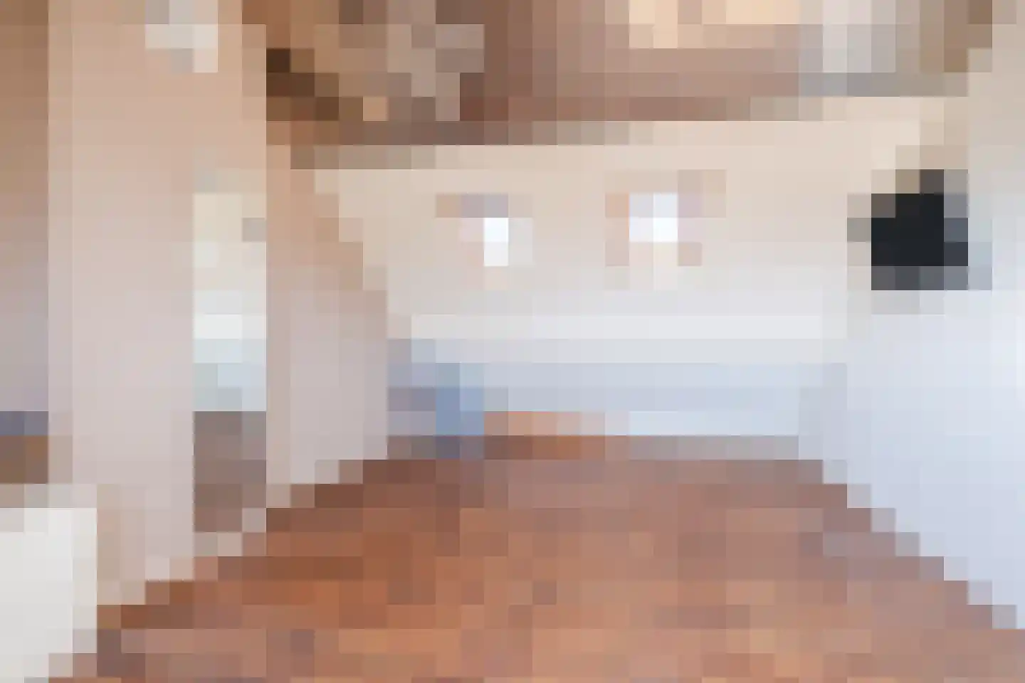 Weegbree 38 Geldrop thumbnail 23