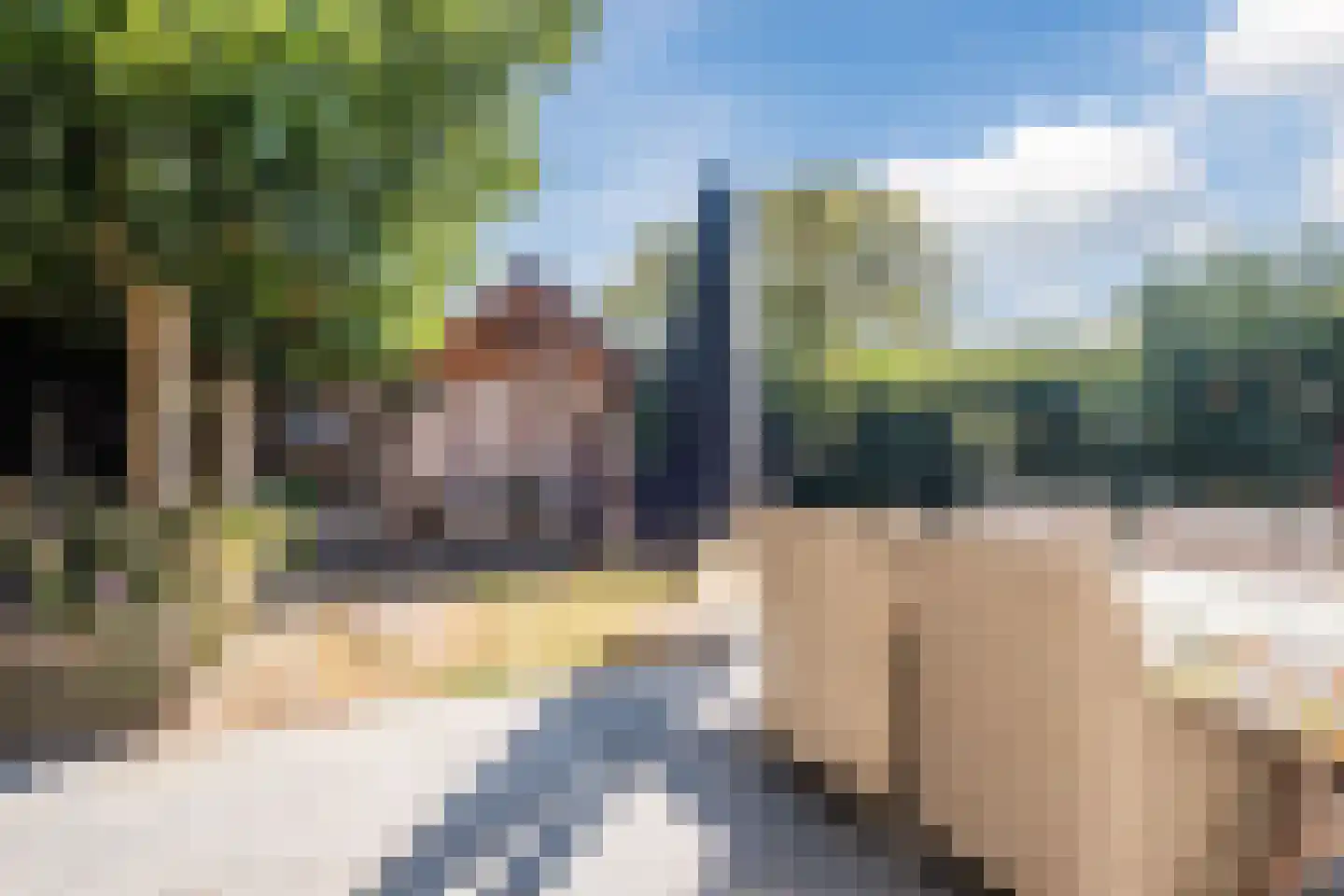 Weegbree 38 Geldrop thumbnail 24