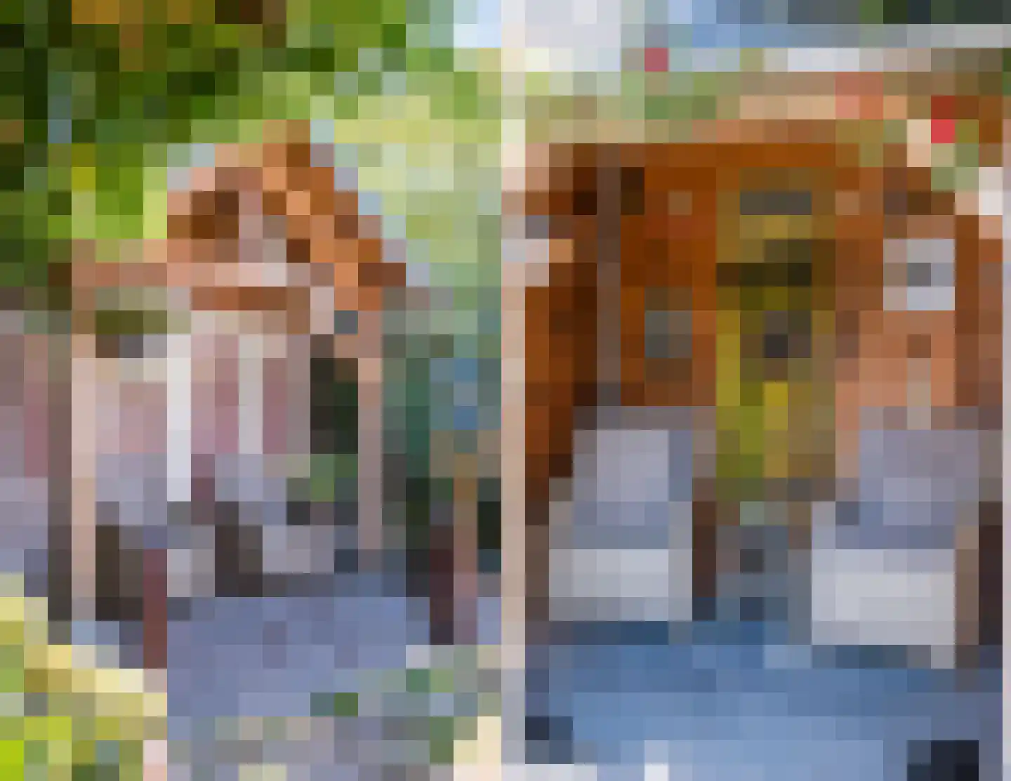 Weegbree 38 Geldrop thumbnail 25