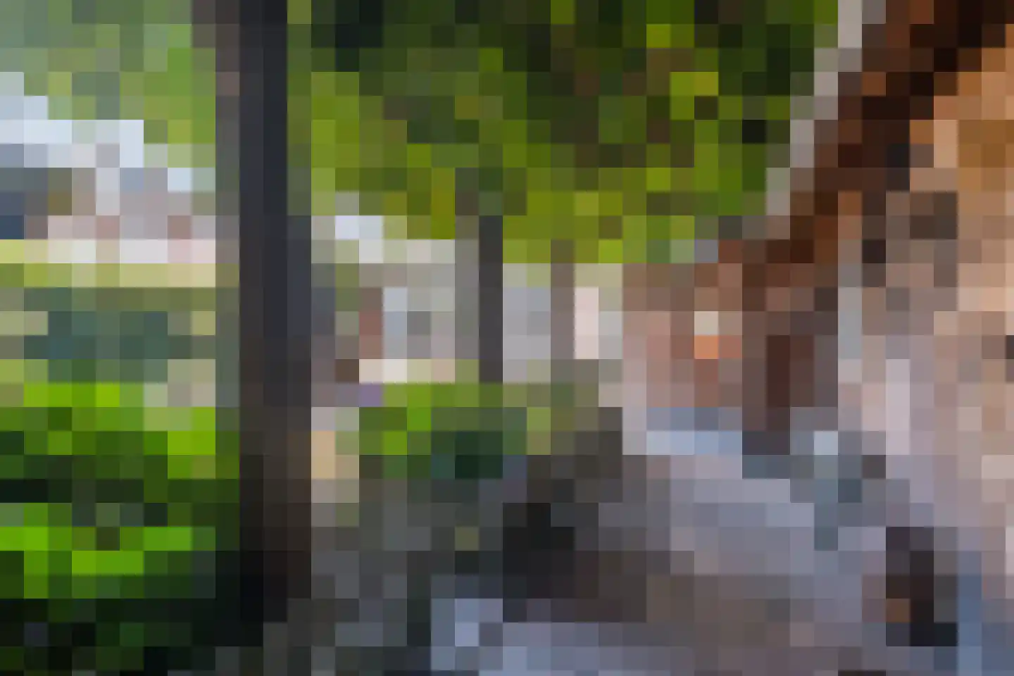 Weegbree 38 Geldrop thumbnail 27