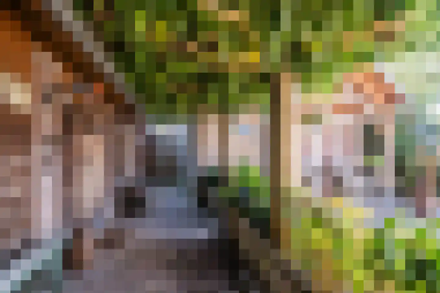Weegbree 38 Geldrop thumbnail 28