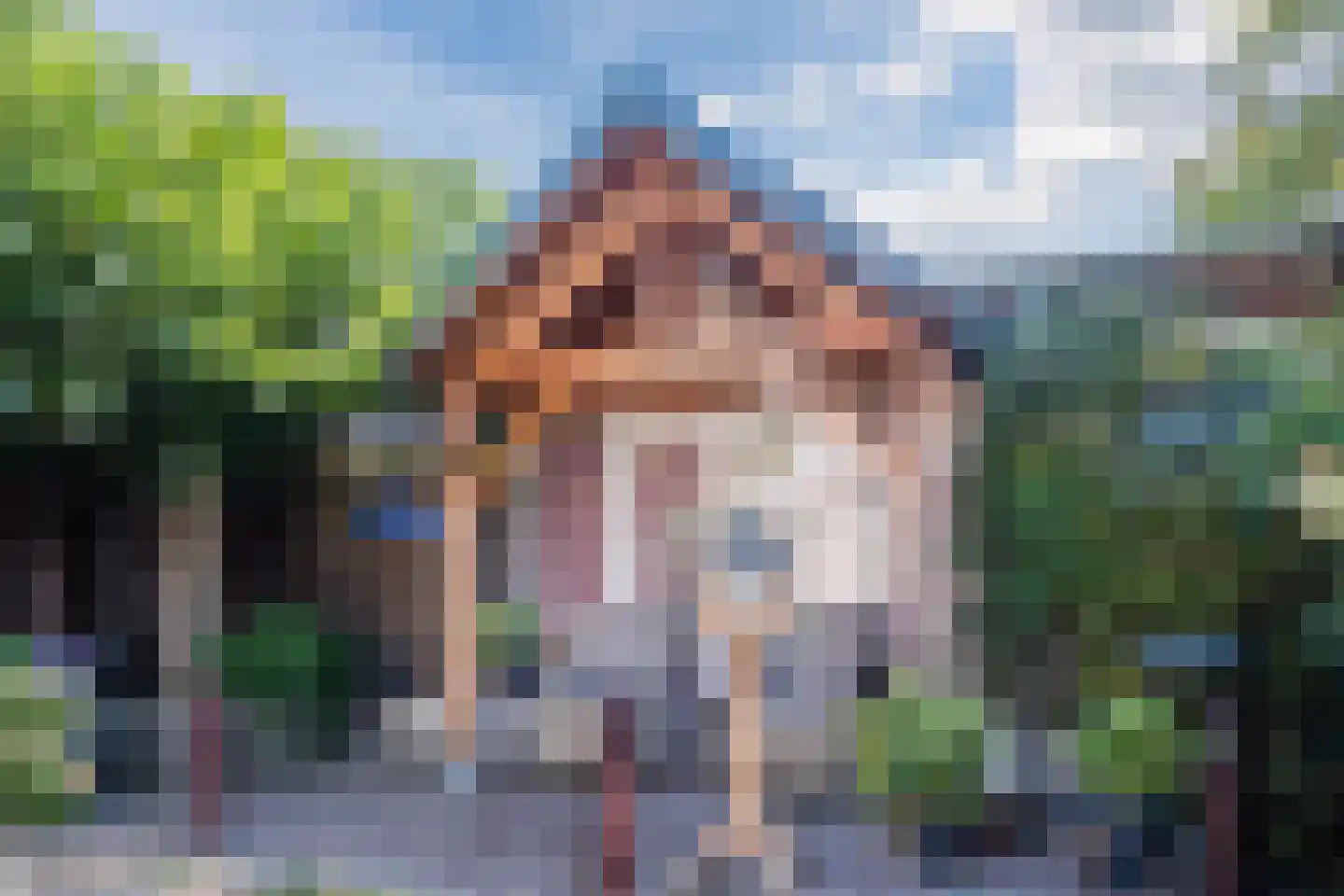 Weegbree 38 Geldrop thumbnail 30