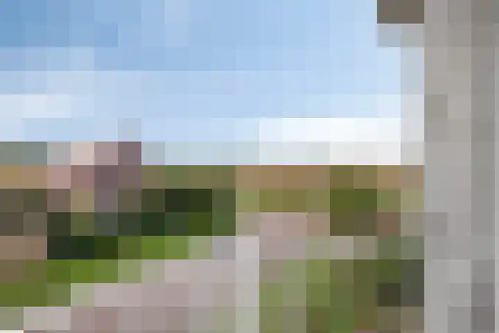 Weegbree 38 Havelte thumbnail 10