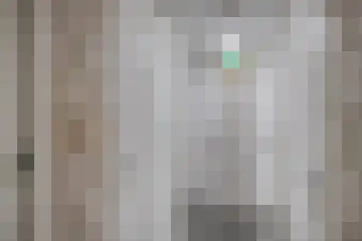 Weegbree 38 Havelte thumbnail 25