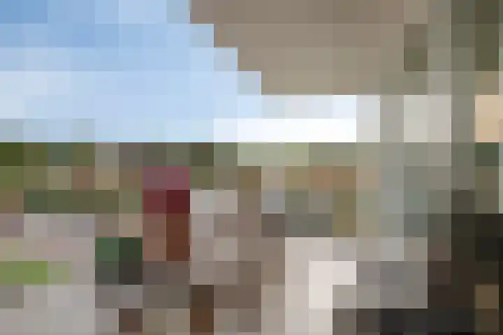 Weegbree 38 Havelte thumbnail 7
