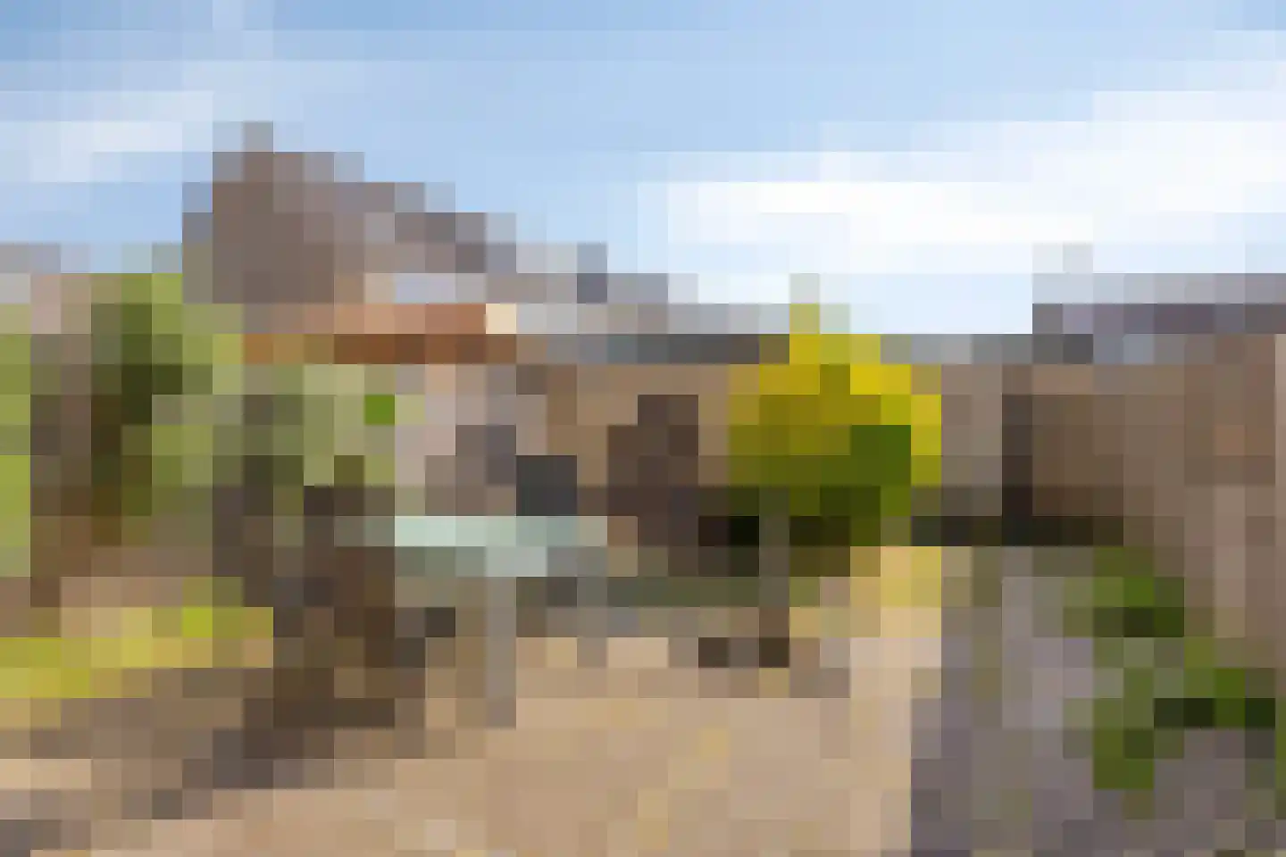 Weegbree 38 Krimpen aan den IJssel thumbnail 42