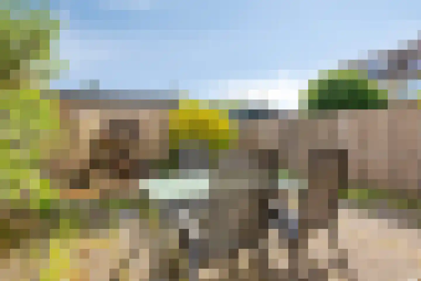 Weegbree 38 Krimpen aan den IJssel thumbnail 43