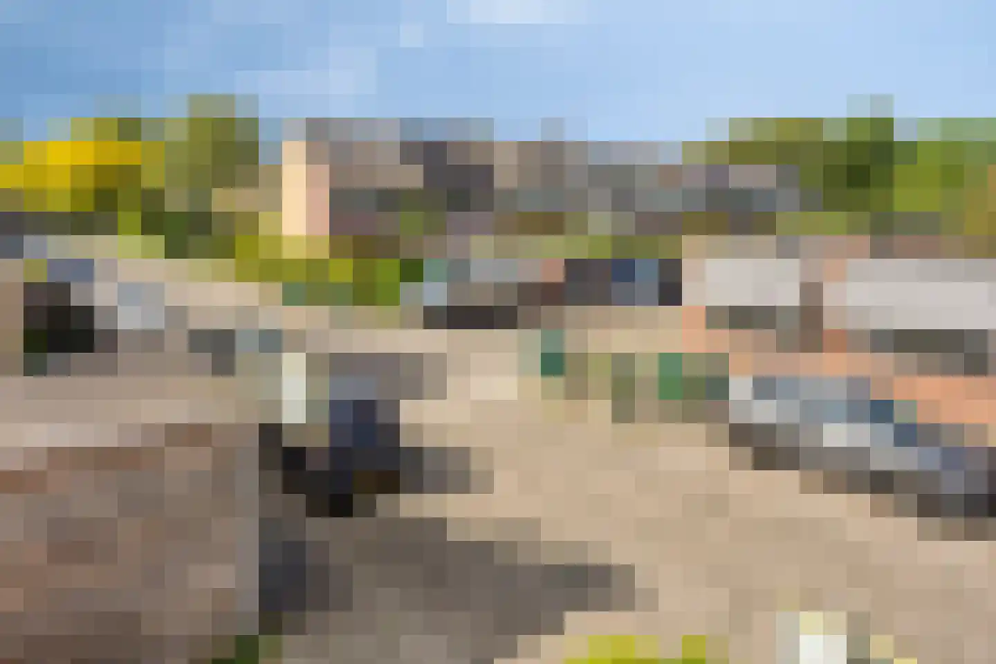 Weegbree 38 Krimpen aan den IJssel thumbnail 47