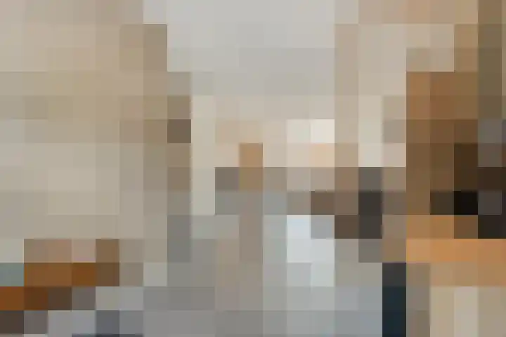 Weegbree 39 Nieuwleusen thumbnail 10