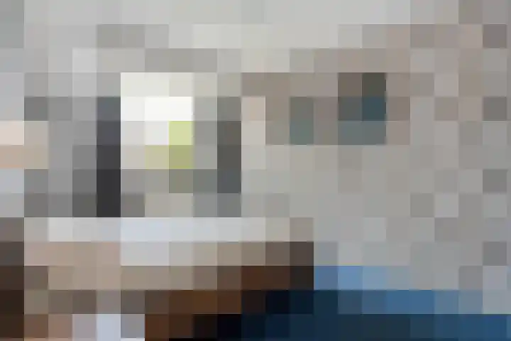 Weegbree 39 Nieuwleusen thumbnail 19
