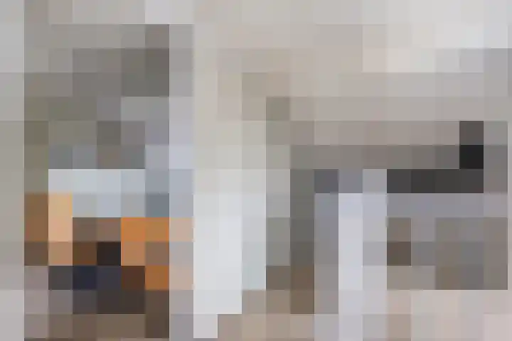 Weegbree 39 Nieuwleusen thumbnail 27