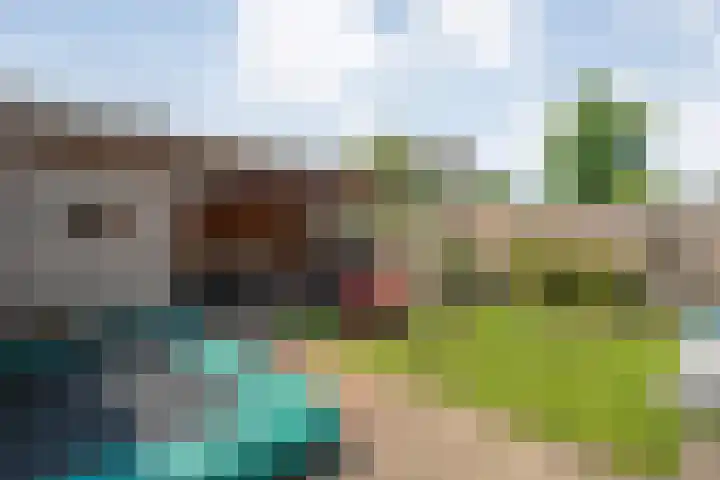 Weegbree 39 Nieuwleusen thumbnail 31