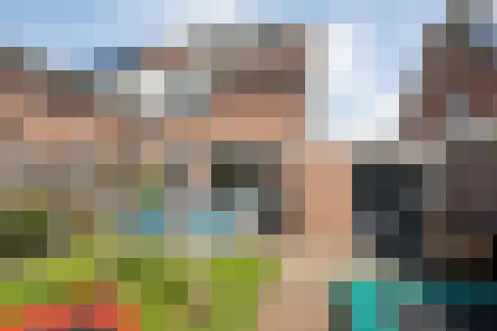 Weegbree 39 Nieuwleusen thumbnail 33