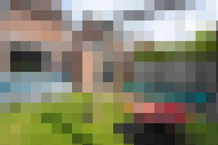 Weegbree 39 Nieuwleusen thumbnail 34