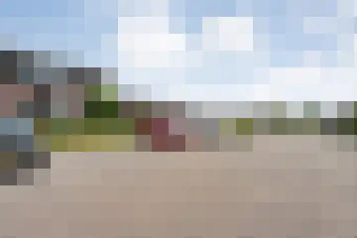 Weegbree 39 Nieuwleusen thumbnail 35