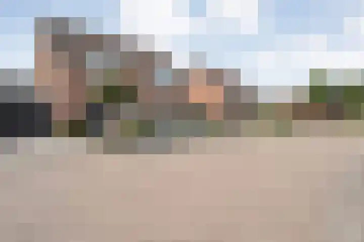 Weegbree 39 Nieuwleusen thumbnail 38