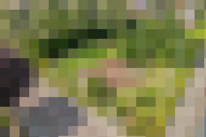 Weegbree 39 Nieuwleusen thumbnail 39