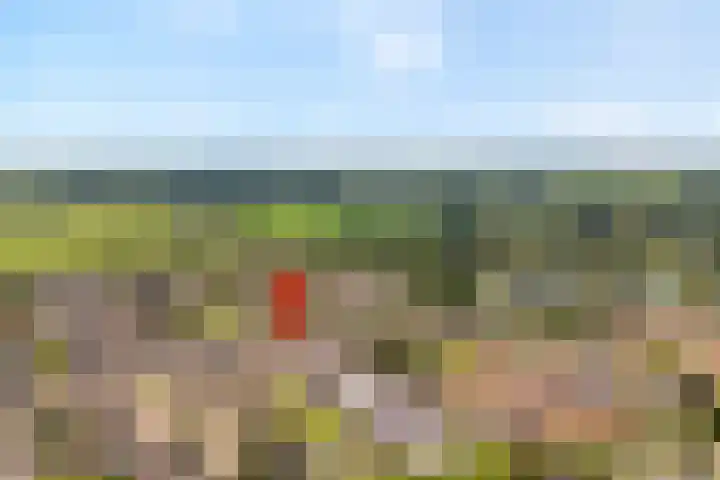 Weegbree 39 Nieuwleusen thumbnail 4