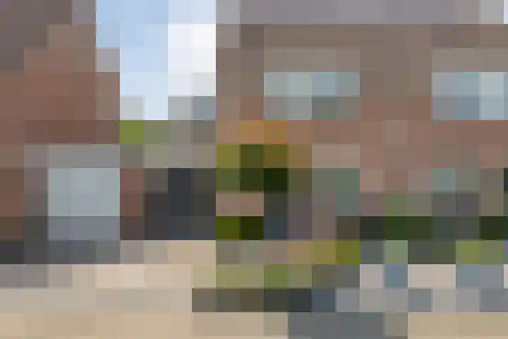Weegbree 39 Nieuwleusen thumbnail 6