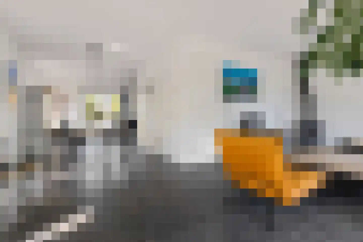 Weegbree 4 Delfzijl thumbnail 20