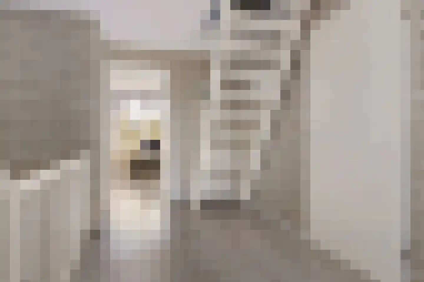 Weegbree 4 Delfzijl thumbnail 33