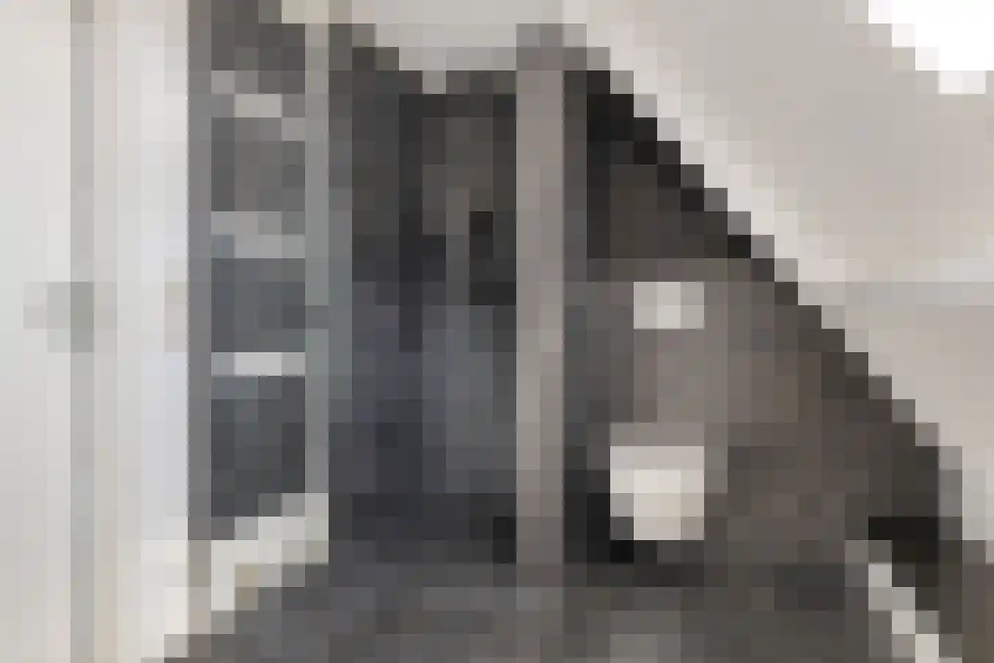 Weegbree 4 Delfzijl thumbnail 39