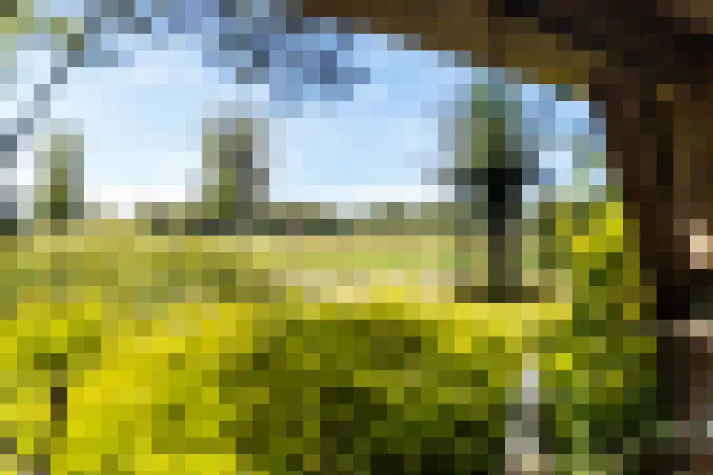 Weegbree 4 Delfzijl thumbnail 44