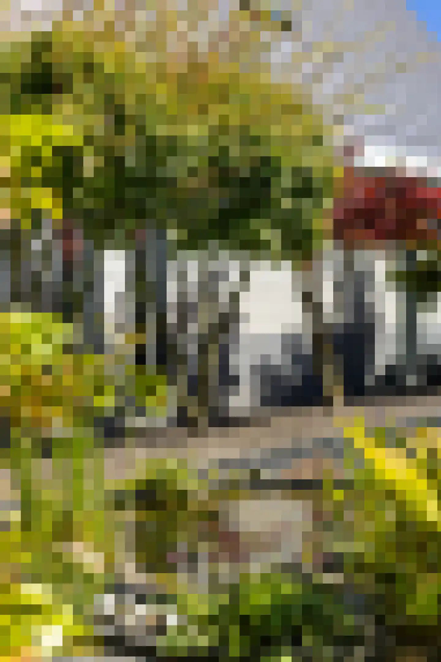 Weegbree 4 Delfzijl thumbnail 45
