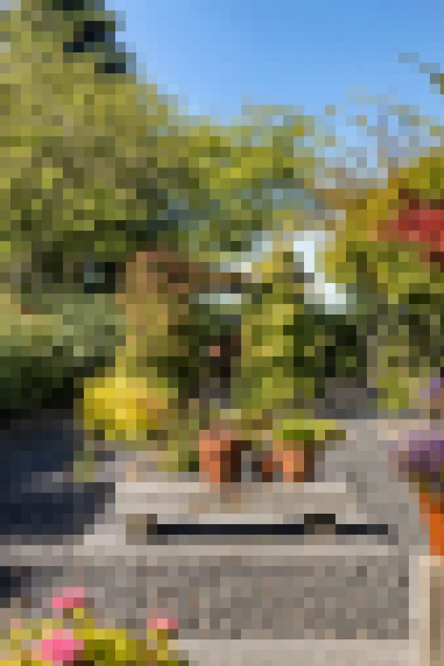 Weegbree 4 Delfzijl thumbnail 46