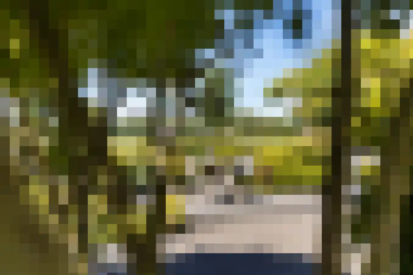 Weegbree 4 Delfzijl thumbnail 47