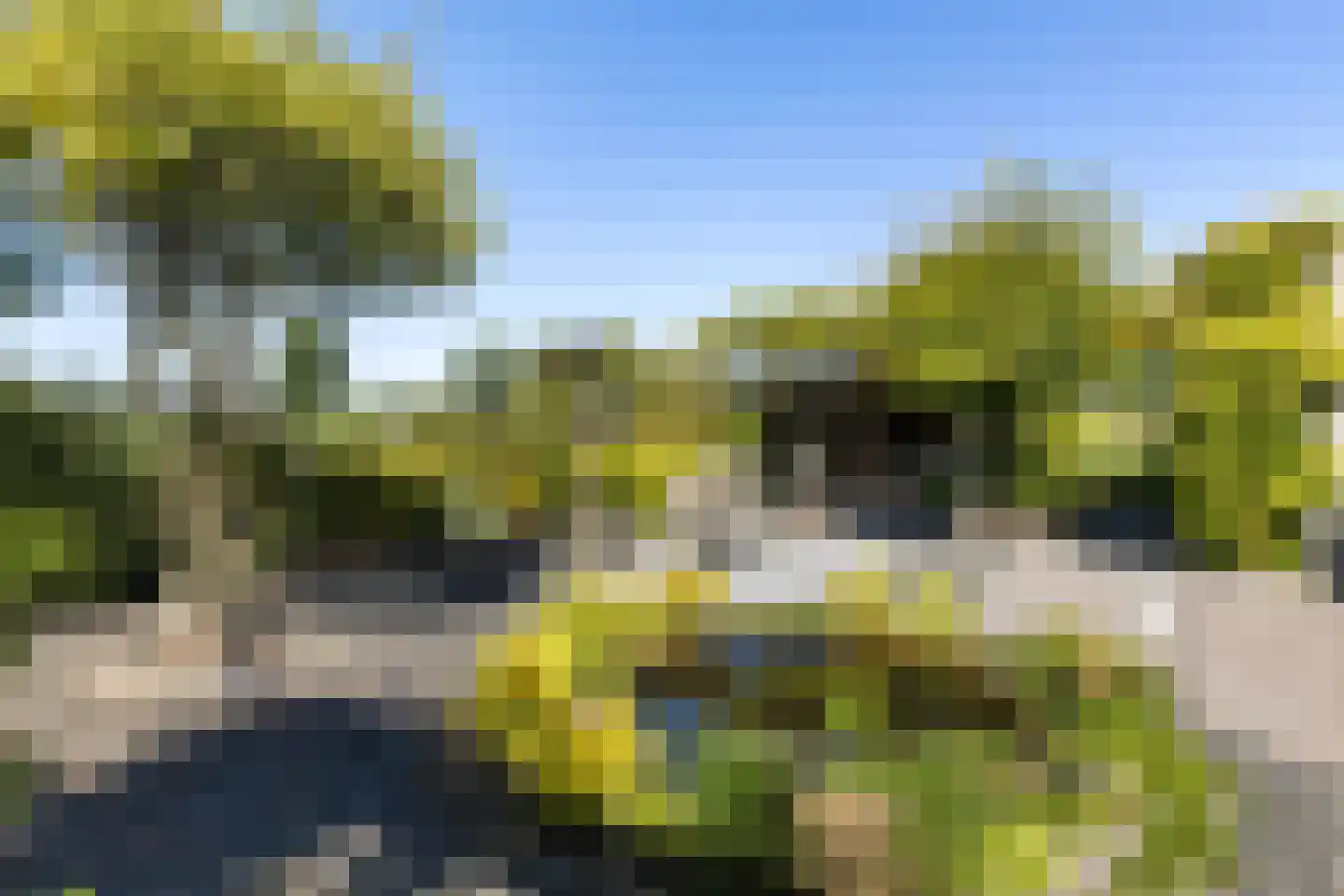 Weegbree 4 Delfzijl thumbnail 49