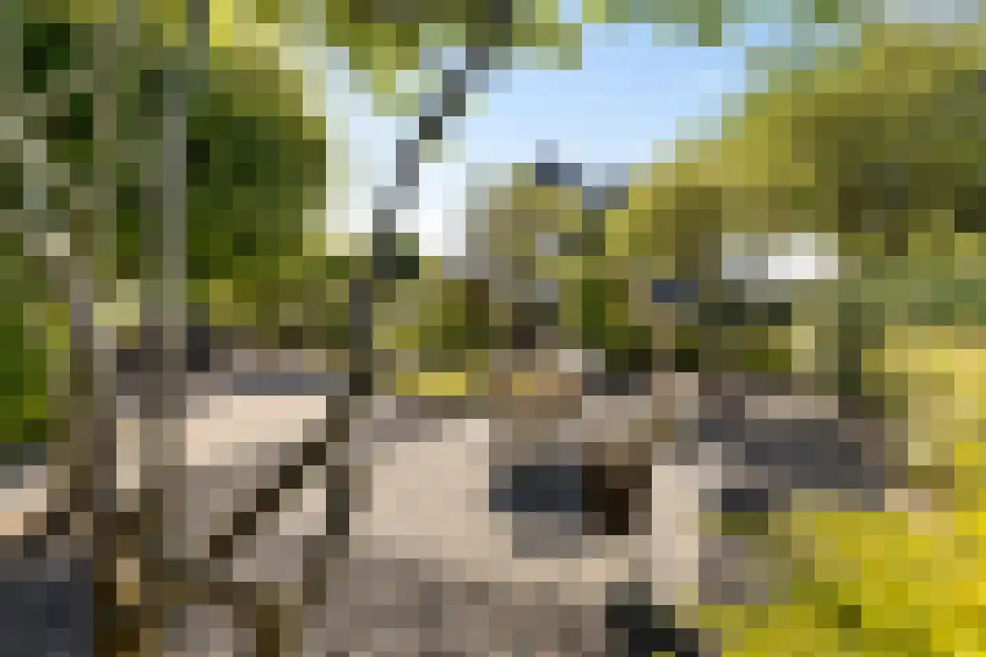 Weegbree 4 Delfzijl thumbnail 51