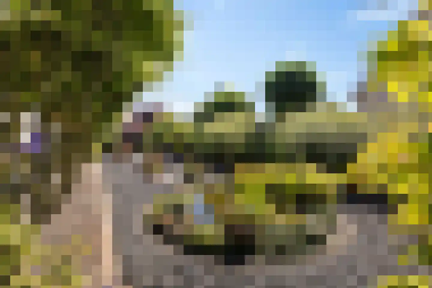 Weegbree 4 Delfzijl thumbnail 53