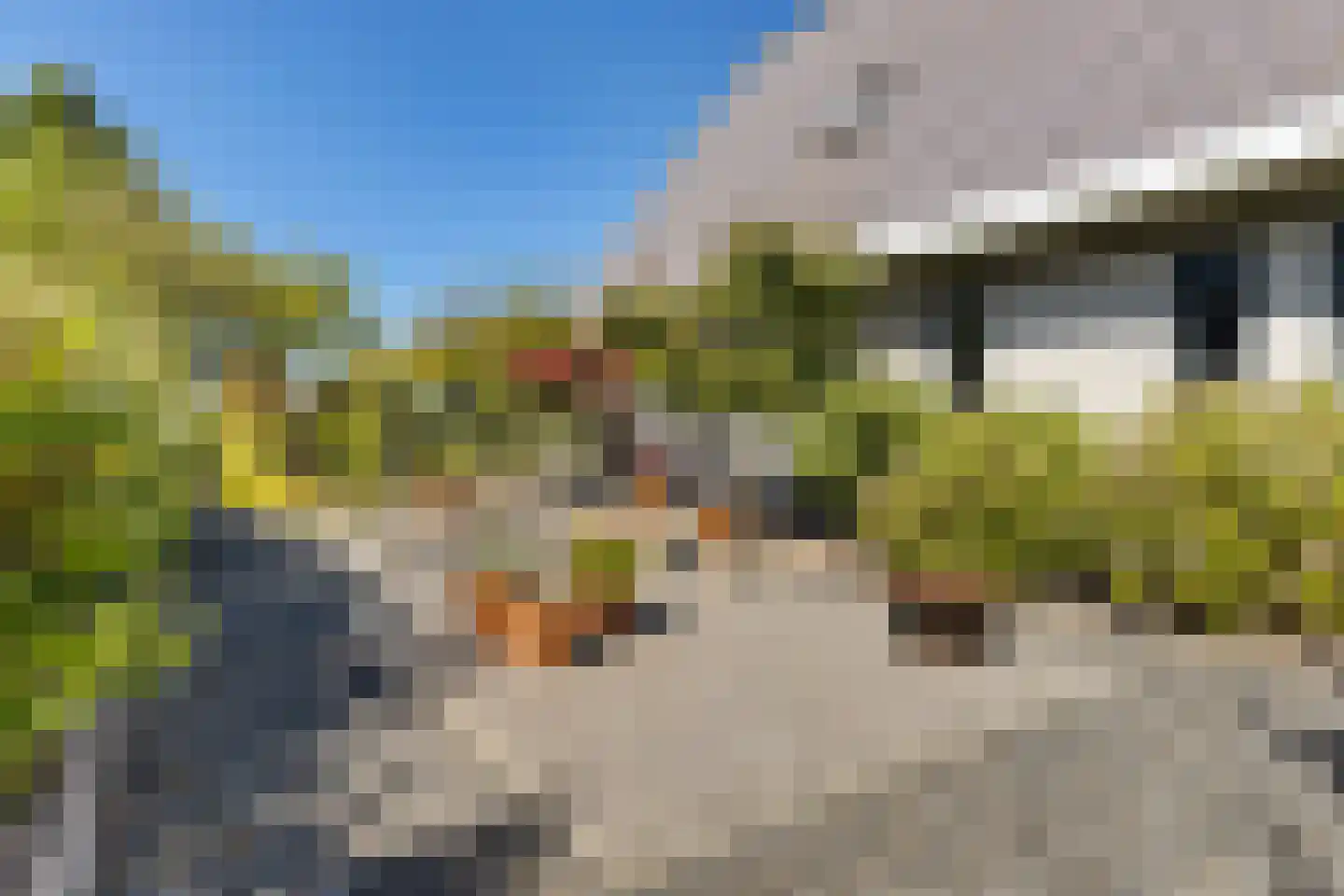 Weegbree 4 Delfzijl thumbnail 54