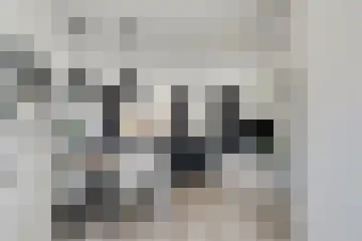Weegbree 4 Gouderak thumbnail 12