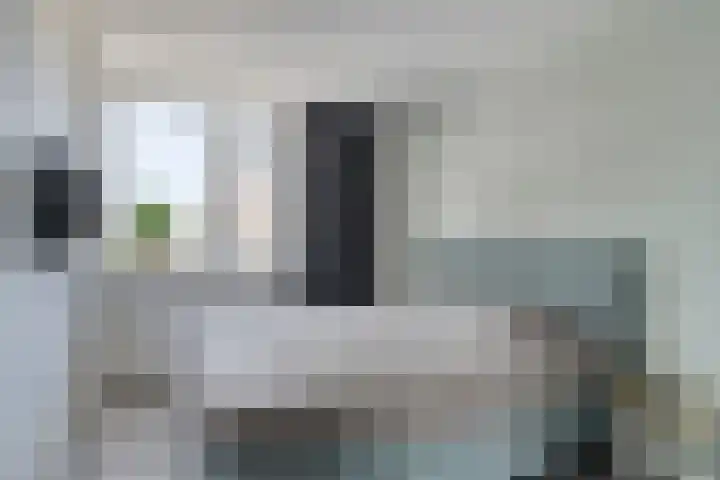Weegbree 4 Gouderak thumbnail 14