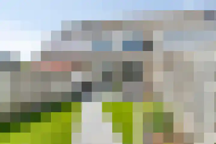 Weegbree 4 Gouderak thumbnail 26
