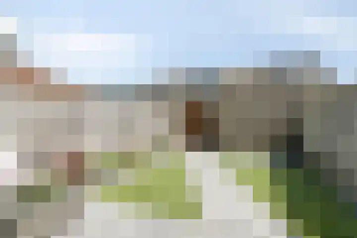 Weegbree 4 Gouderak thumbnail 27