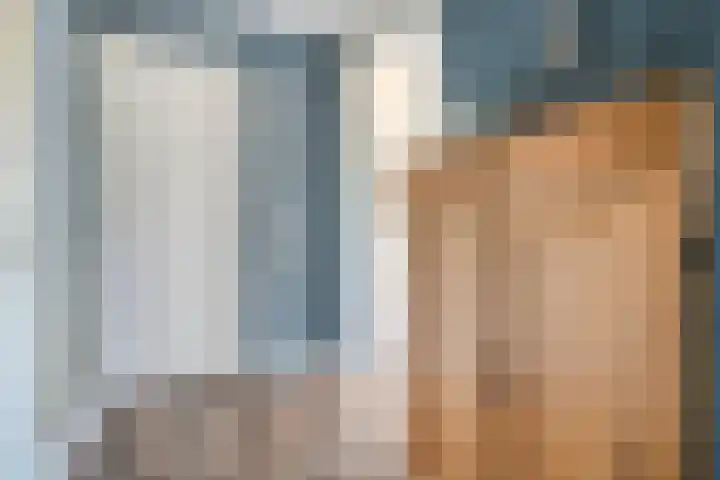 Weegbree 4 Havelte thumbnail 12