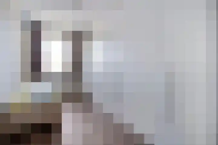 Weegbree 4 Havelte thumbnail 15