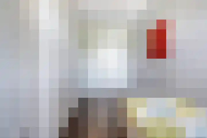 Weegbree 4 Havelte thumbnail 16