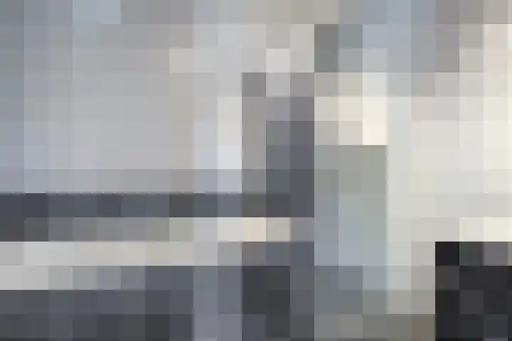Weegbree 4 Havelte thumbnail 19