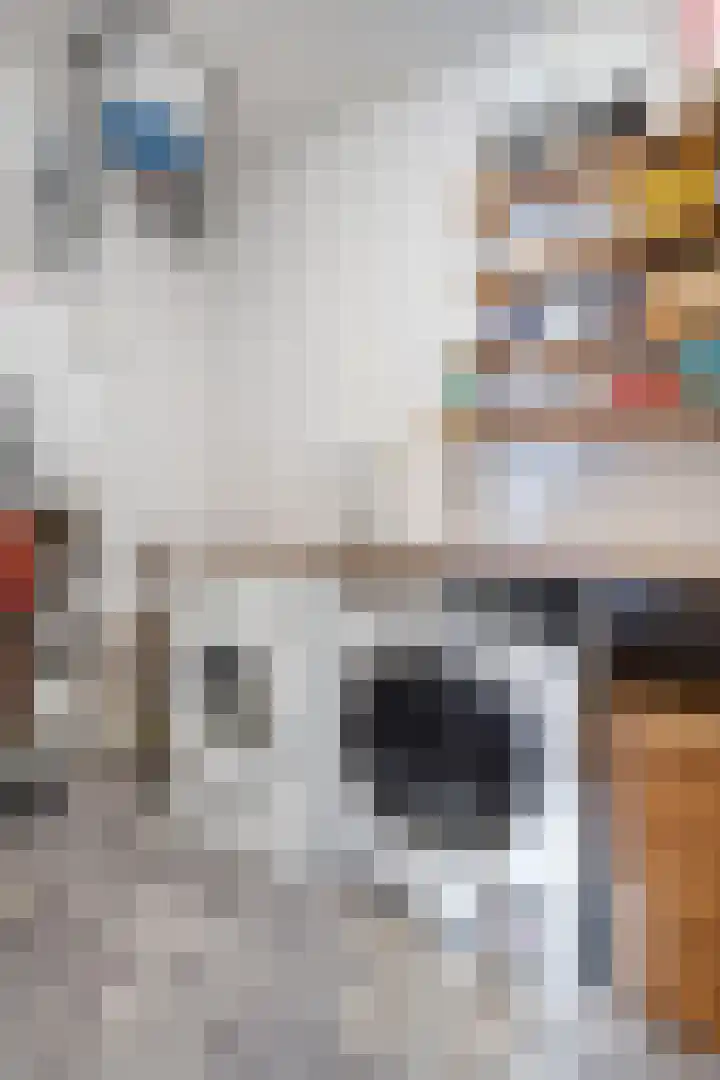 Weegbree 4 Havelte thumbnail 21