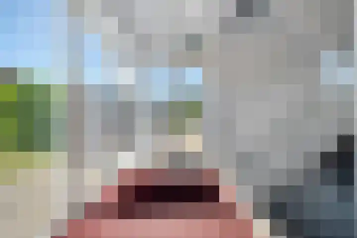Weegbree 4 Havelte thumbnail 24