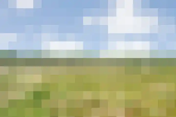 Weegbree 4 Havelte thumbnail 29