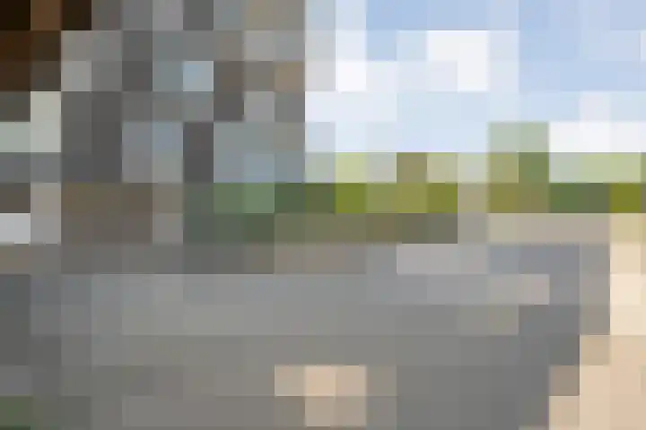 Weegbree 4 Havelte thumbnail 30