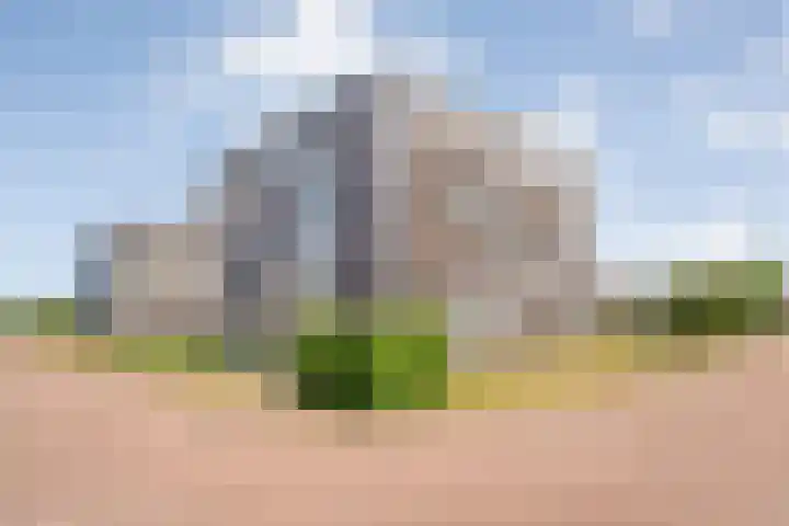 Weegbree 4 Havelte thumbnail 31