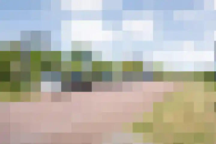 Weegbree 4 Havelte thumbnail 32