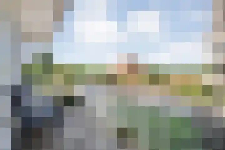 Weegbree 4 Havelte thumbnail 7